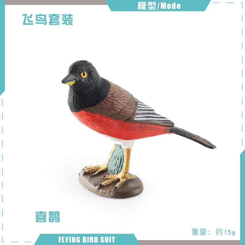 Atemberaubendes, realistisches Vogelfiguren-Set mit farbenfrohen Tauben-, Elster- und Kuckucksmodellen