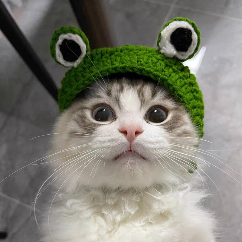 Chapeau pour animal de compagnie tricoté à la main - Chat, Chien, Design Grenouille