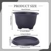 Bonsai Pot Flower Planter Training Bowl with Drainage System And Moisture Storage Made of PP for