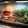 Stackable Reptile Hide Cave Translucent Visible Shelter House Reptile Hideout  Pet Breeding