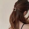 Premium Kleine Dreiecksklammer für Damenfrisuren