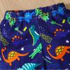 European & American Toddler Boys Dinosaur Summer Swimsuit Set