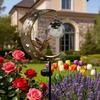 Floor Insertion Hummingbird Moon Light Solar Powered Lawn Lamp  Pathway Patio