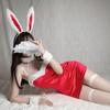 Velvet Sexy Bunny Girl Costume Women Lingerie Cute Rabbit Uniform Cosplay Lady Tight Slip Dress Nightclub Erotic Anime Bodysuit