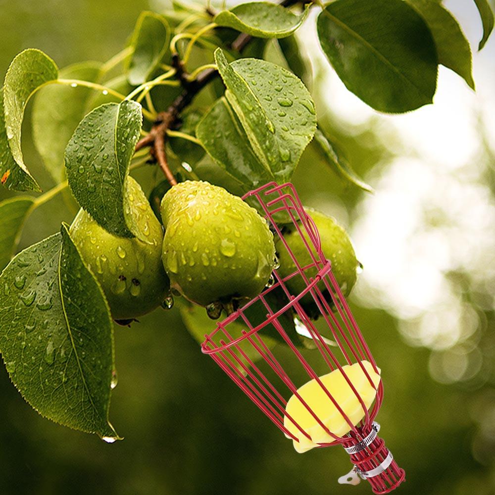 Testa Raccogli Frutta ad Alta Quota Raccoglitore Frutta Comodo Raccoglitore Frutta Attrezzi da Giardino
