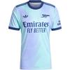adidas Originals SS24 24/25 Third Jersey Arsenal Series Short Sleeve IZ0114