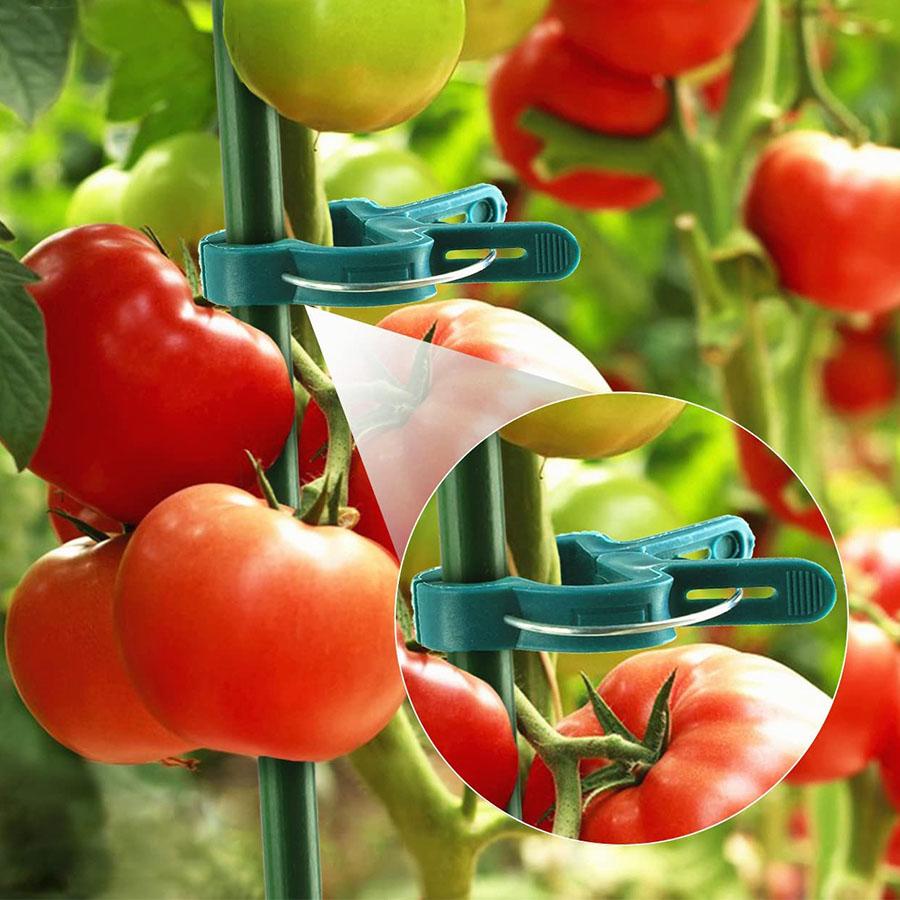 Kunststoff Pflanzenbefestigungsclips für Orchidee & Tomate, Gartenpflanzen-Stützclips Gärtner-Set