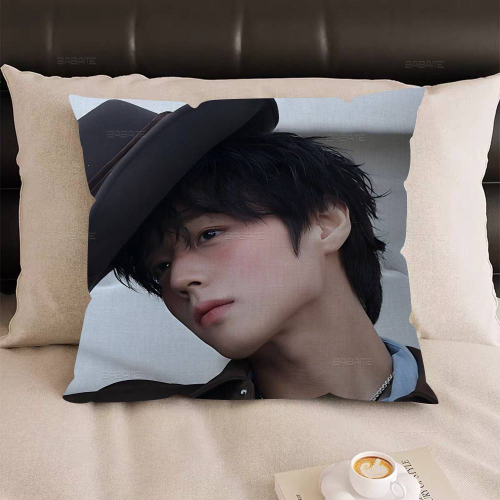 Korean P-PARK JI HOON Anime Pillow Cushion Cover Pillowcase Living Room Sofa Home Decor Customized