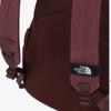 The North Face White Label Standard Backpack Small Dark Red Nm2dr58k