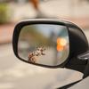 Cartoon Painted Giraffe Car Rearview Mirror Glass Beautification Decoration Sticker