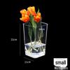 Secchiello Acrilico Risveglio di Fiori: Vaso quadrato grande trasparente per fiori freschi e composizioni