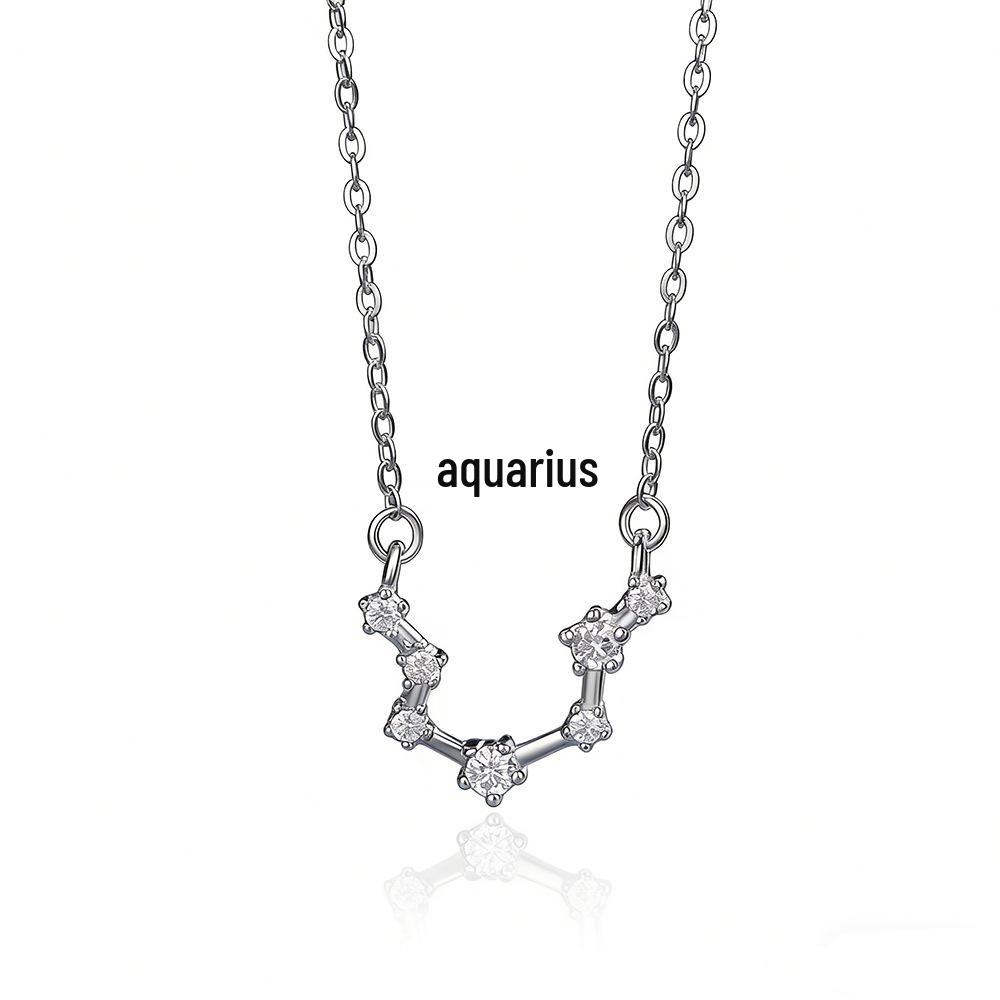 S925 Sterling Silver Zodiac Necklace for Women - High-End, Versatile Clavicle Chain Jewelry