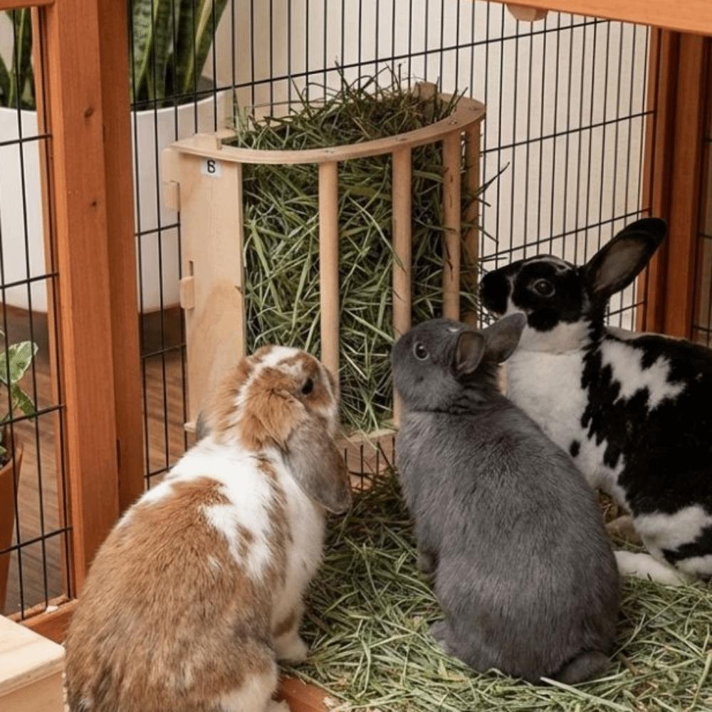 Wooden Hay Feeder Rack Built-in Rabbit Hay Holder Easy Installation Ferret Hay Manger  Hamster