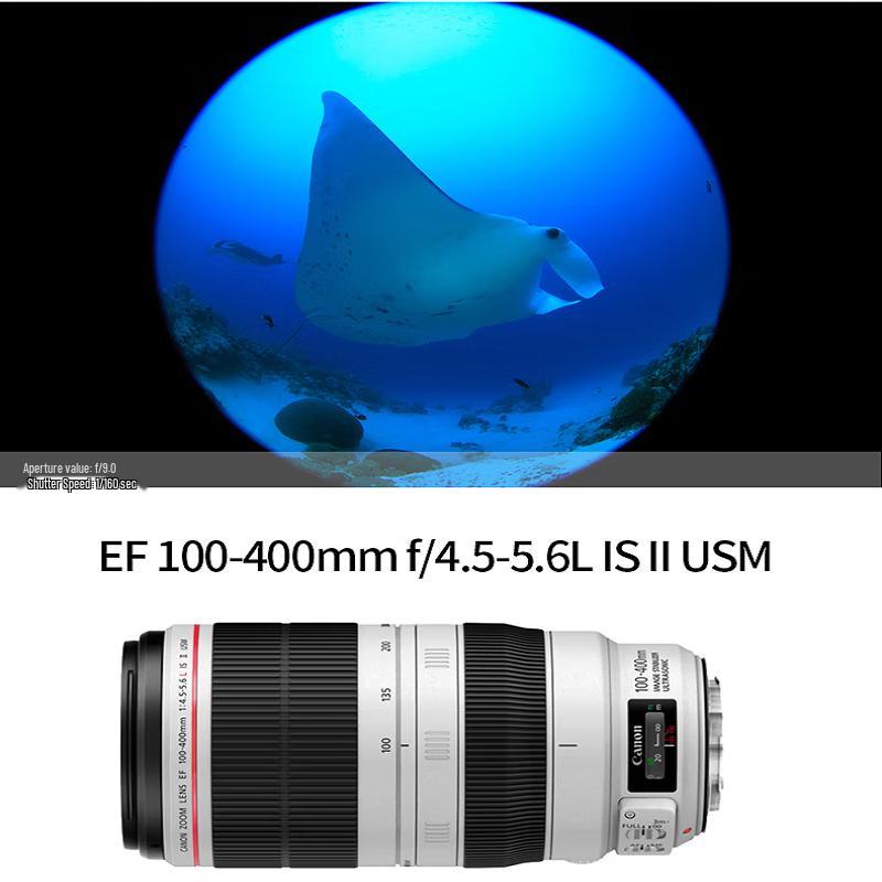 Canon EF 100-400mm f/4.5-5.6L IS II USM Telephoto Zoom Lens