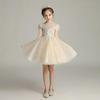 Girls' Fashionable Princess Gown - Puffy Trailing Evening Dress for Catwalk, Party, or Piano Performance