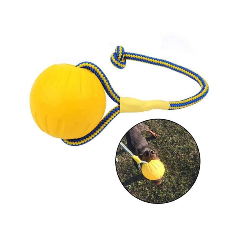

Dog Toy Training Play Rope Ball
