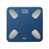 BERYL Smart Body Fat Scale (CN Version)