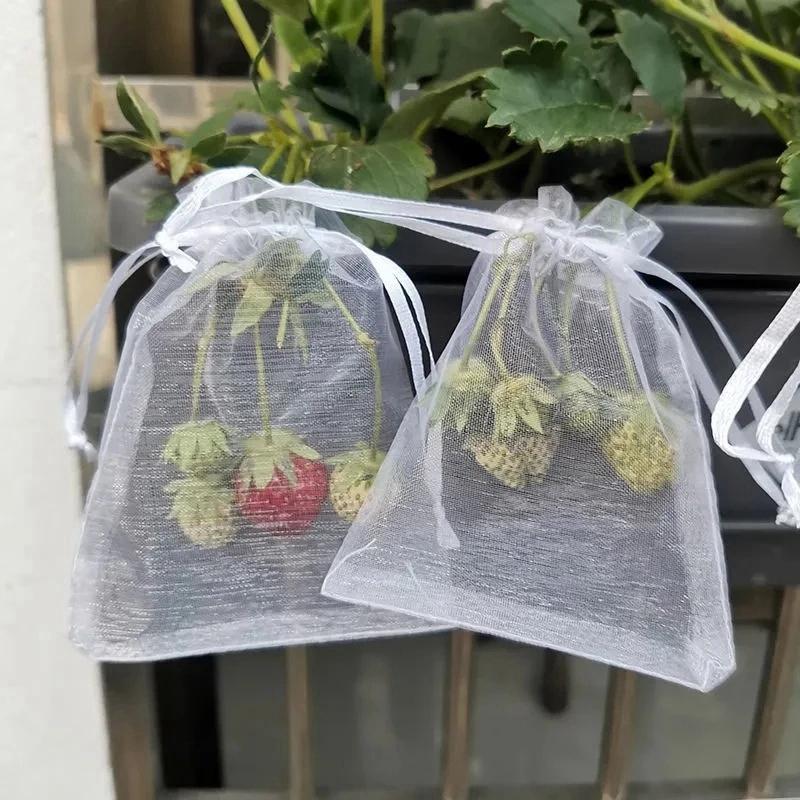 50pcs Insect Proof Bag Anti Pest Bird Mesh Bag Fruit Protection Bags for Grape Strawberry Garden Accessories Veg Fruit Grow Bags
