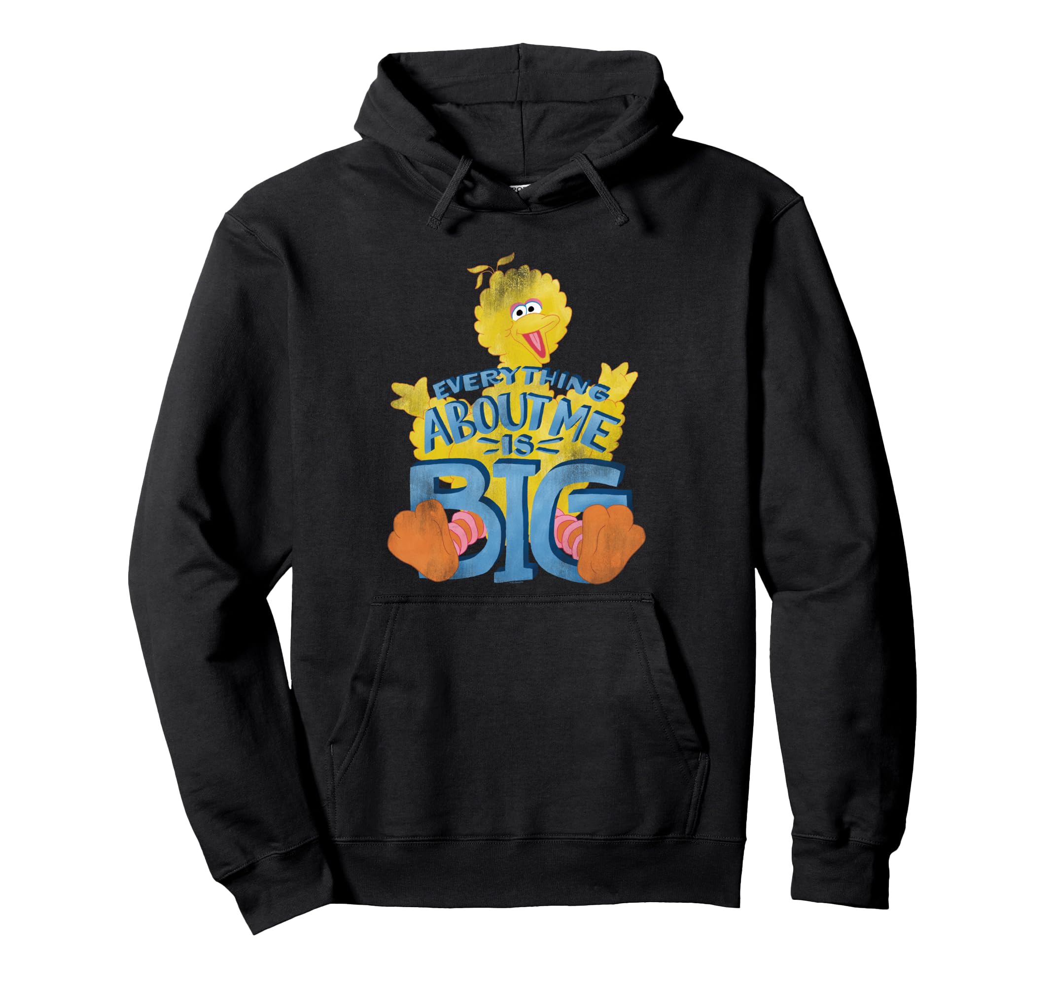 

Sesame Street Big Bird Everything About Me Hoodie