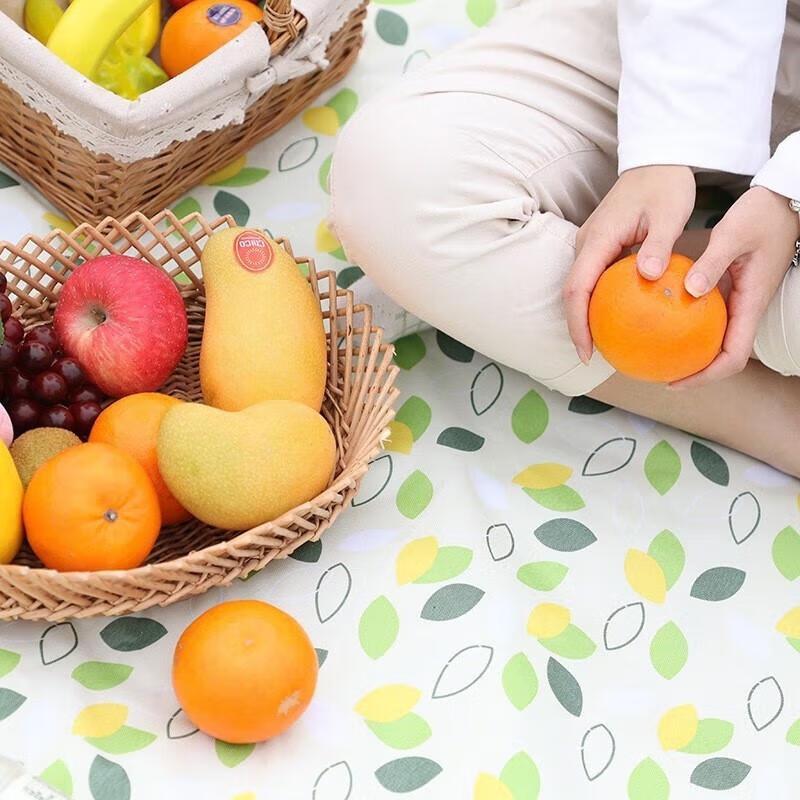 Yike Outdoor Picnic Mat