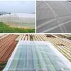 Garden Mesh Fine Protect Netting Vegetable Crop Plant Bird Insect Net Protection