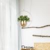 Sappige Hangmand Metalen Bloempot Zwiepende Wandmontage Bloempot Slaapkamer Woonkamer Scandinavische Stijl Decoratie