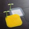 Sprout Silikon Ablaufgeruchsstöpsel Ablaufabdeckung DD-12001