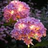 Decorative Lighting Solar Embroidered Flower Lamp Solar Garden Light  Backyard Landscape