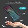 Luminous Wireless Keyboard & Mouse Set for iPad, Silent Bluetooth, Portable, High-Value