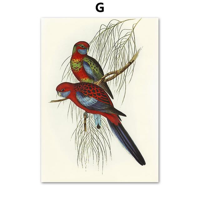 Papagal Pasăre Artă de perete de epocă Pictură pe pânză colibri colorat Postere nordice și imprimeuri Poze de perete pentru decorarea camerei de zi, fără cadru