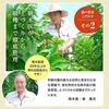 Mine Jukumokuen Japanese Mulberry Leaf Tea Bags Non-Caffeine Pesticide-Free 3g X 30 Bags