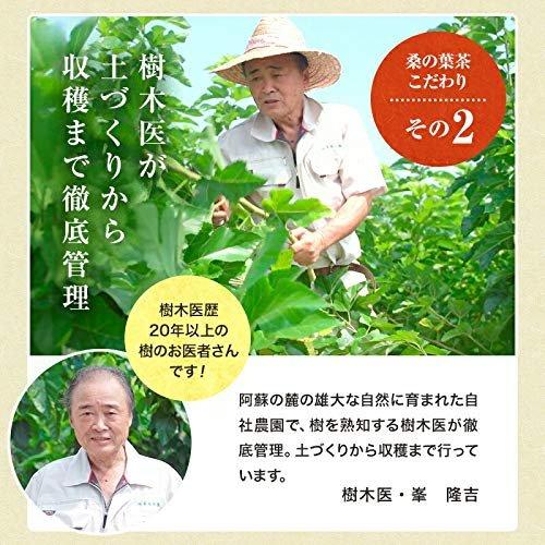 Mine Jukumokuen Japanese Mulberry Leaf Tea Bags Non-Caffeine Pesticide-Free 3g X 30 Bags