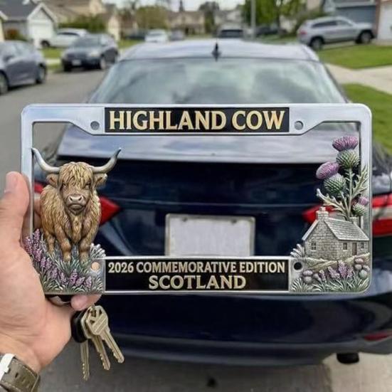 250th Anniversary License Plate Frame, Anti-Rust Coating Car Decoration, Celebrate Freedom History Heritage Perfect Gift for Family And Friends