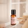 HBN Water Cream Set Luminous Water Essence Cream B5