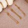 European/American Light Luxury Titanium Steel Necklace - Pig Nose Cold Niche Style, High-End Versatile Long Sweater Chain