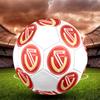 Energie Cottbus logo size5 Soccer Ball, colorful, suitable for all ages, machine-stitched, PVC material, competition grade,durable and high bounce