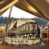 1pc Parisian Architecture Print Outdoor Blanket, Lightweight Polyester,