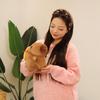 With Croissant Bread Capybara Plush Toys Fluffy Stuffed Capybara Doll  Home Decor Gifts