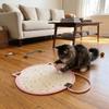 Scratch Resistant Cat Scratching Toy Wear-Resistant Dog Mattress Cat Climbing Mat  Indoor Use