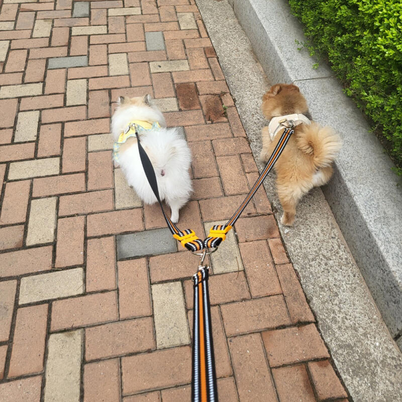 Bowdog Multi-Pen Reflective Leash Dog Leash Tangle-Free Leash