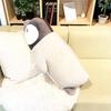 Kamu Kamu's Body Pillow Large Tot Plush Toy Interior Bedding Penguin