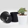 Set di 10 Vasi Rotondi in Plastica per Succulente Fioriera Scatola per Coltivazione Fioriera 2 Colori per Decorazione Casa Ufficio o Giardino