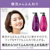 Segreta Shampoo Pump 430ml
