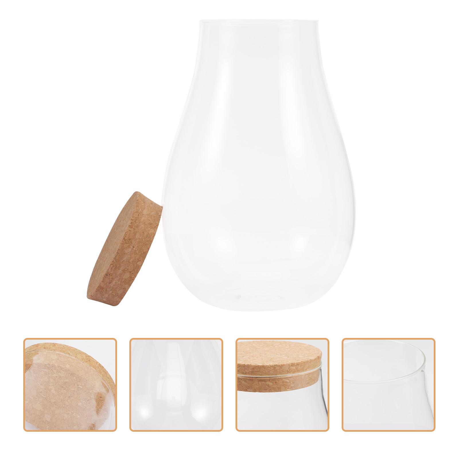 

Мікроландшафт Екологічна Пляшка для Води Контейнер для Бріофітів Відкритий Тераріум Скляна Гідропонна Рослина Ландшафтний Дизайн