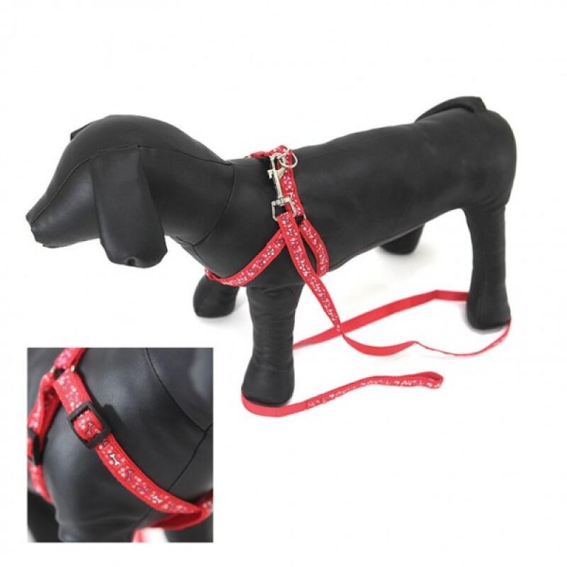 Colorpop leash Color Pop Reed (random color)