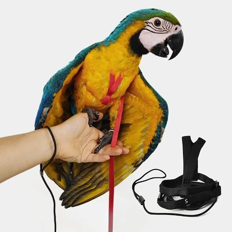 Adjustable Bird Harness with 78.7 Inch Leash, Outdoor Flying Training Rope Kit for Bird Parrots, Parrot Flying Rope Straps Outdoor Training Traction