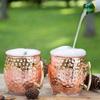 Brass Moscow Mule Mug Stainless Steel Elegant Beer Cup With Colorchanging Finish For Bar Use