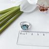 Silver Ring with London Blue Topaz, Product Weight 3.48 G (2151791)