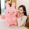 Flying Rabbit Pig Doll Plush Toy Creative Pink Rabbit Ears Pig Doll Sleeping Pillow Ragdoll