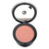 Luminous Silk Glow Blush Powder - 11 In Love 3.6g/0.12oz